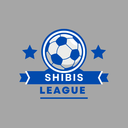Blue-Retro-Illustrative-Football-Club-Logo-1